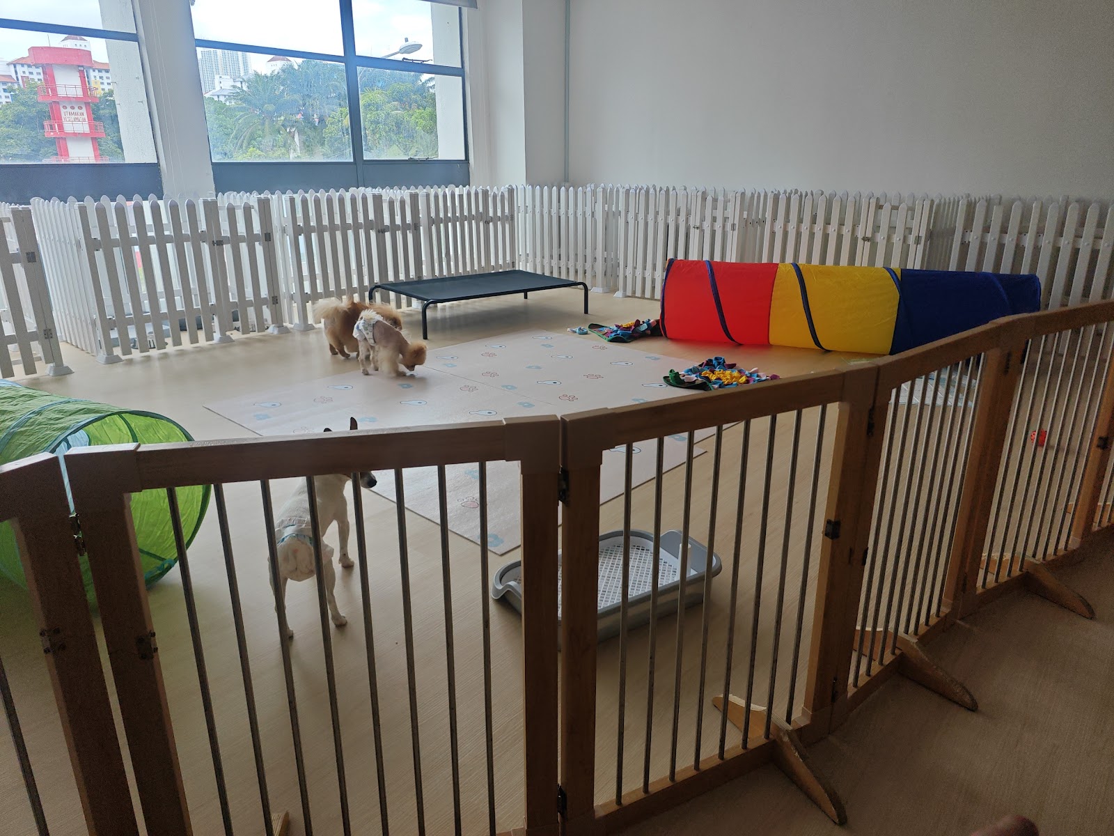 YaBu Pet Boarding & Grooming 4