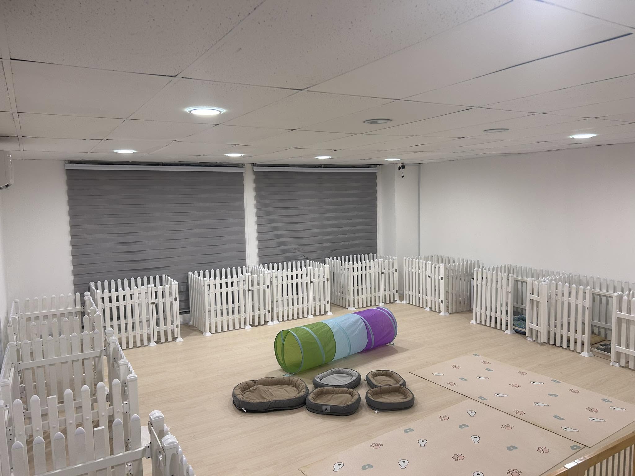 YaBu Pet Boarding & Grooming 6